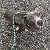 Thumbnail photo of Forrest #2