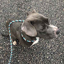 Thumbnail photo of Forrest #3