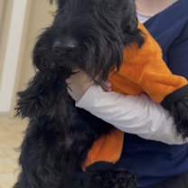 Thumbnail photo of Toby #3