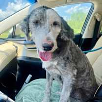 Thumbnail photo of Annabelle #3