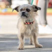 Thumbnail photo of Belize #4