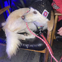 Thumbnail photo of Mansu #4