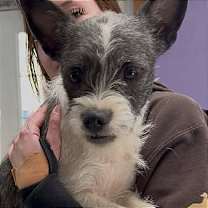 Thumbnail photo of Sister #1