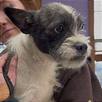 Thumbnail photo of Sister #2