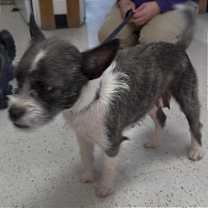 Thumbnail photo of Sister #3