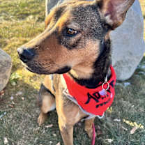 Thumbnail photo of CLIFF #2