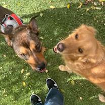 Thumbnail photo of CLIFF #4