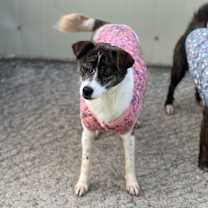 Thumbnail photo of Seri #1