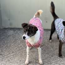 Thumbnail photo of Seri #3