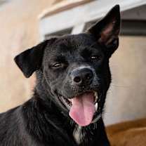 Thumbnail photo of Beri (Berwin) #1