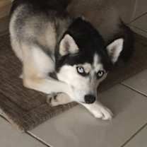 Thumbnail photo of Zachary #3