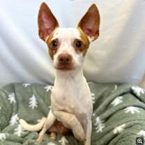 Thumbnail photo of Travis #1