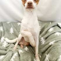 Thumbnail photo of Travis #4