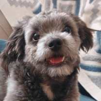 Thumbnail photo of FLOOFI (local) sf #1