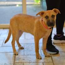 Thumbnail photo of Ava #4