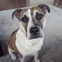 Thumbnail photo of Pixel #2