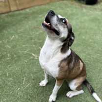 Thumbnail photo of Pixel #3