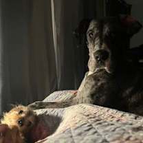 Thumbnail photo of Prissy #3