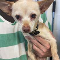 Thumbnail photo of Walter #1