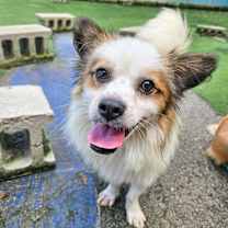 Thumbnail photo of Esoh #1