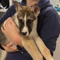 Thumbnail photo of Mashed Potatoes #3