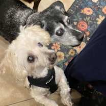 Thumbnail photo of Ned #4