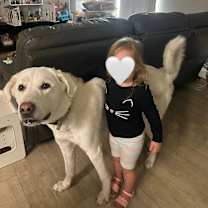 Thumbnail photo of Adi #2