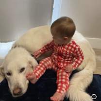 Thumbnail photo of Adi #4