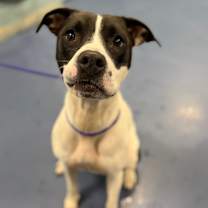 Thumbnail photo of Kaia #2