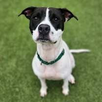 Thumbnail photo of Kaia #3