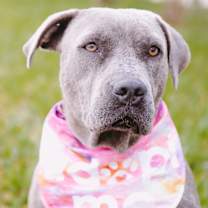 Thumbnail photo of MF Zalia #2