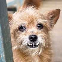 Thumbnail photo of Bella #1