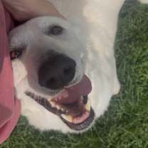 Thumbnail photo of Jolene #4