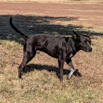 Thumbnail photo of Hanson #2