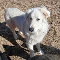 Thumbnail photo of Theo GP #1