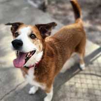 Thumbnail photo of Walker #1