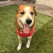 Thumbnail photo of Walker #2