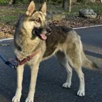 Thumbnail photo of Flynn #1