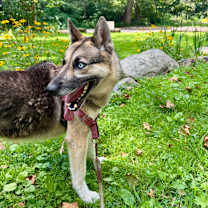 Thumbnail photo of Flynn #3