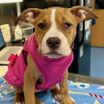 Thumbnail photo of Felicity #2