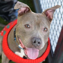 Thumbnail photo of Santi #3