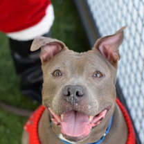 Thumbnail photo of Santi #4