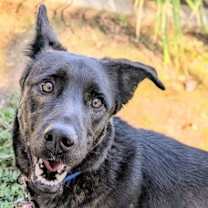 Thumbnail photo of Lyle* #1