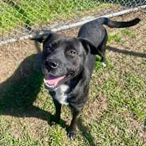 Thumbnail photo of Mike #3