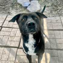 Thumbnail photo of Mike #4