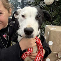 Thumbnail photo of Nate #3