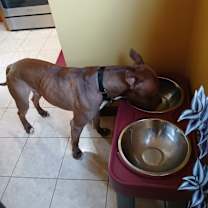 Thumbnail photo of Biggie #1