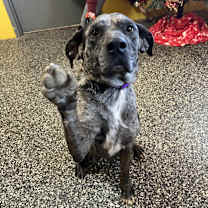 Thumbnail photo of Ella #1