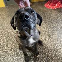 Thumbnail photo of Ella #2