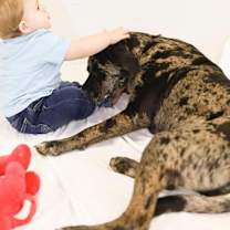 Thumbnail photo of Ella #4